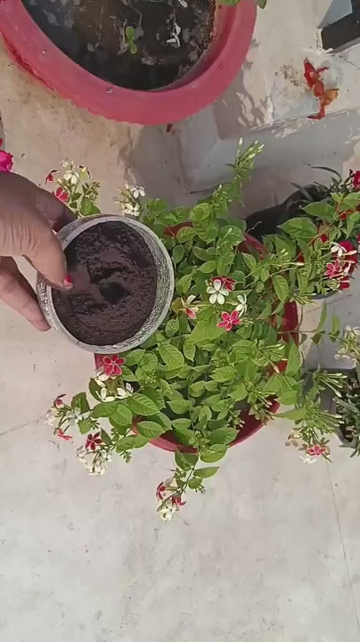 Iron Dust Fertilizer (350gm)